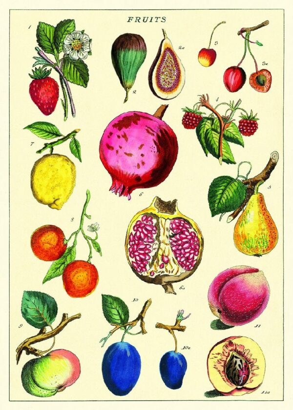 POSTER CAVALLINI - FRUIT 2