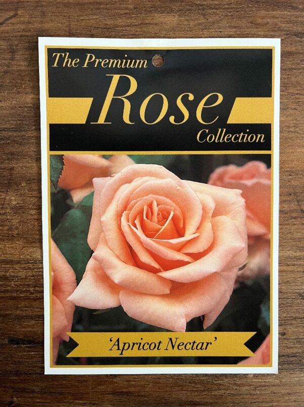ROSE APRICOT NECTAR