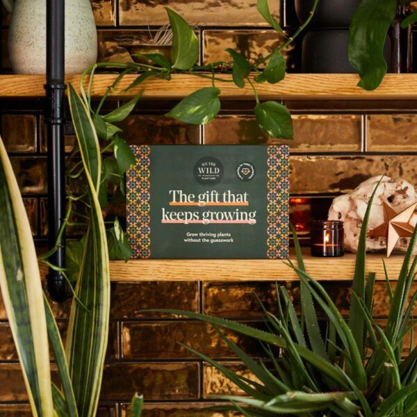 WE THE WILD MINI KIT GIFT THAT GROWS