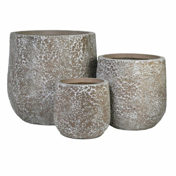 POT SEALITE CONGO DRIFTWOOD